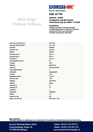 Groupes électrogènes à diesel Endress ESE 45 YW 