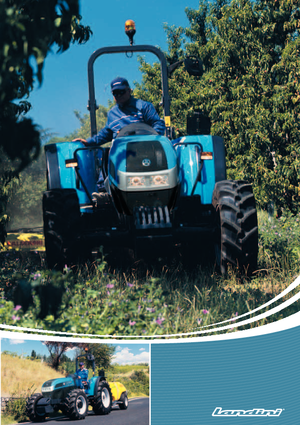 Tracteurs 4WD Landini Technofarm 80 STD