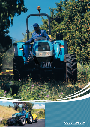 Tracteurs 4WD Landini Technofarm 80 STD