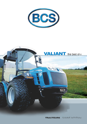 Tracteurs 4WD BCS Valiant 550 RS