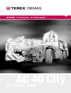 Grues tous-terrains Terex-Demag AC 40 City (6x4x6)