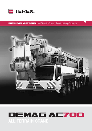 Grues tous-terrains Terex-Demag AC 700 (18x8x16)