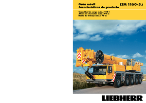 Grues tous-terrains Liebherr LTM 1160-5.1 (10x6x8)