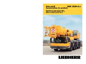 Grues tous-terrains Liebherr LTM 1220-5.2 (10x6x10)