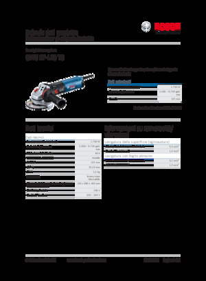 Meuleuses d'angle Bosch GWS 17-125 TS