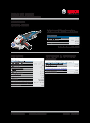 Meuleuses d'angle Bosch GWS 19-125 CIE