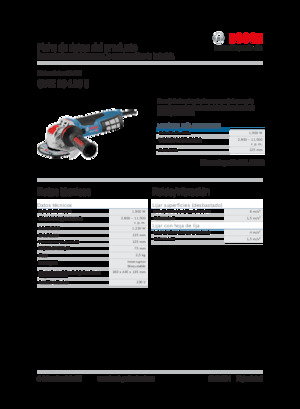 Meuleuses d'angle Bosch GWX 19-125 S