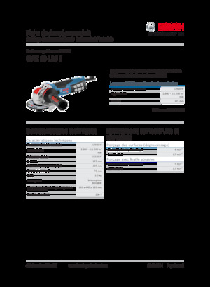 Meuleuses d'angle Bosch GWX 19-125 S