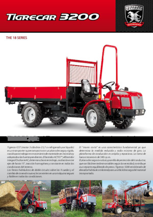 Tracteurs municipaux Carraro Tigrecar 3200 GST