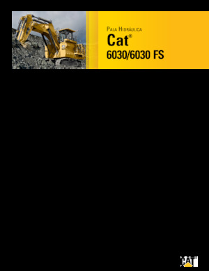 Excavatrice sur chenilles Caterpillar 6030 FS