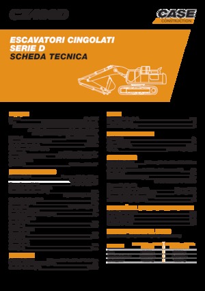 Excavatrice sur chenilles Case CX490D