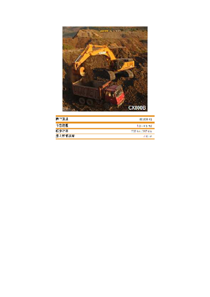 Excavatrice sur chenilles Case CX 800 B