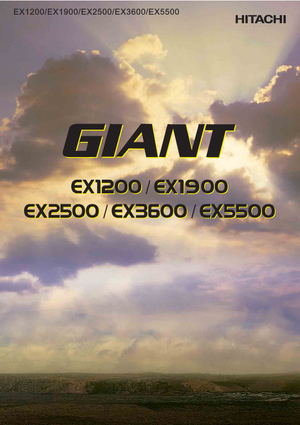 Excavatrice sur chenilles Hitachi EX 5500-6