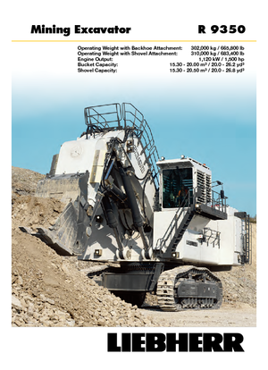 Excavatrice sur chenilles Liebherr R 9350 