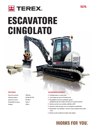 Excavatrice sur chenilles Terex TC 75