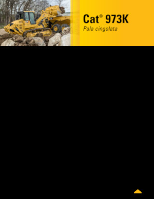 Chargeuses sur chenilles Caterpillar 973K