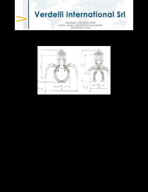 Grappins de démolition et de tri Verdelli F.E.E. /25