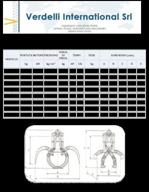 Grappins de démolition et de tri Verdelli F.E.E. /25