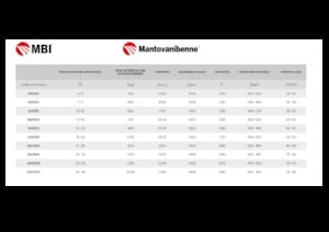 Grappins de démolition et de tri MBI SG2700