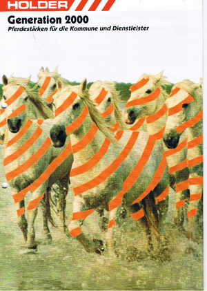 Véhicules communaux multi-usages à diesel diesel Holder C 220