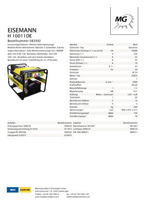 Groupes électrogènes à diesel Eisemann H 10010 DE