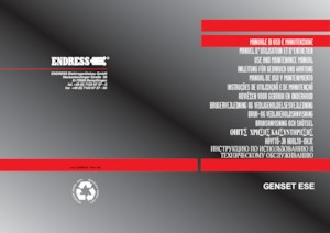 Groupes électrogènes à diesel Endress ESE 1204 DHS-GT ES ISO DI