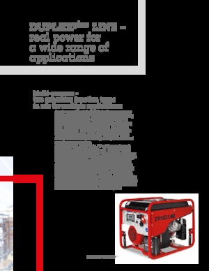 Groupes électrogènes à diesel Endress ESE 1408 DLG DI ES DUPLEX Silent