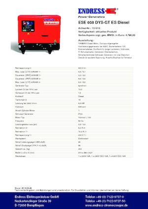 Groupes électrogènes à essence Endress ESE 608 DYS-GT ES DI