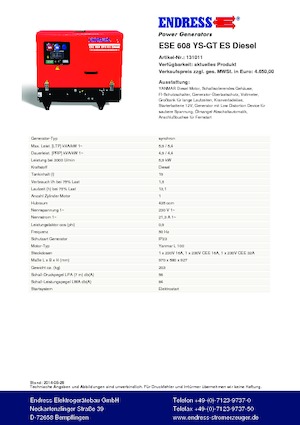 Groupes électrogènes à essence Endress ESE 608 YS-GT ES DI