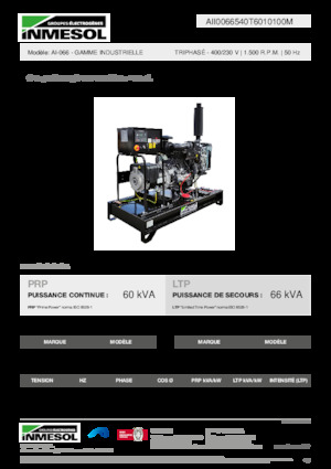 Groupes électrogènes à diesel INMESOL AI-066