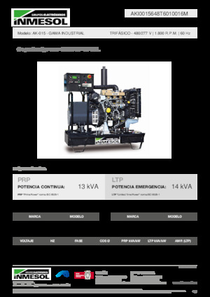 Groupes électrogènes à diesel INMESOL AK-015
