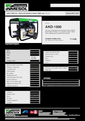 Groupes électrogènes à diesel INMESOL AKD-1000-CA