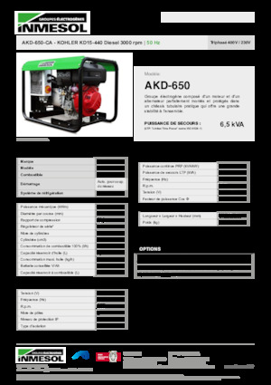 Groupes électrogènes à diesel INMESOL AKD-650-CA