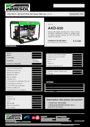 Groupes électrogènes à diesel INMESOL AKD-650-E