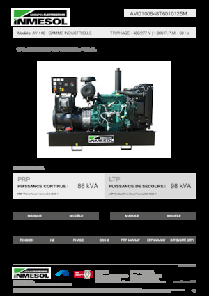 Groupes électrogènes à diesel INMESOL AV-100