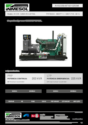 Groupes électrogènes à diesel INMESOL AV-225