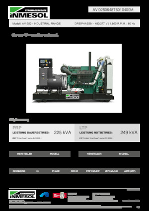 Groupes électrogènes à diesel INMESOL AV-250