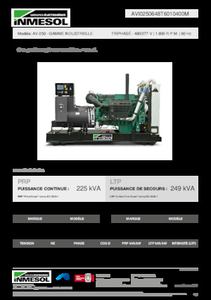 Groupes électrogènes à diesel INMESOL AV-250