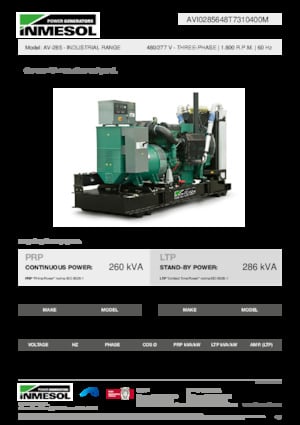 Groupes électrogènes à diesel INMESOL AV-285