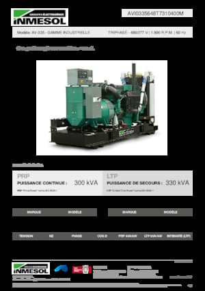 Groupes électrogènes à diesel INMESOL AV-335