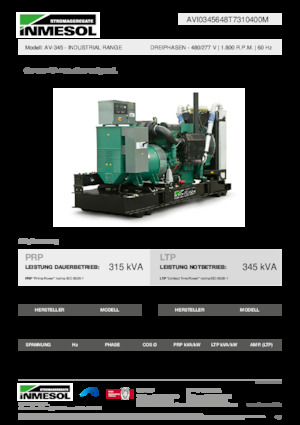 Groupes électrogènes à diesel INMESOL AV-345