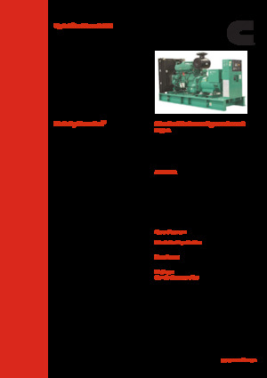 Groupes électrogènes à diesel Cummins C380 D5