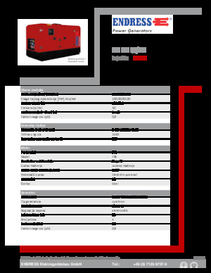 Groupes électrogènes à diesel Endress ESE 100 IW/MS 