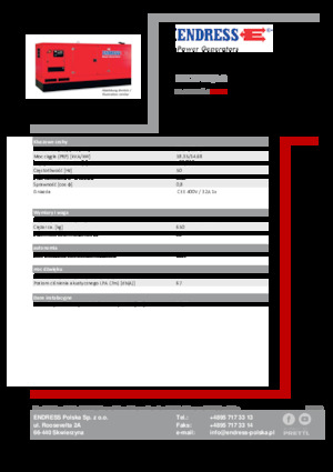 Groupes électrogènes à diesel Endress ESE 20 YW/AS 