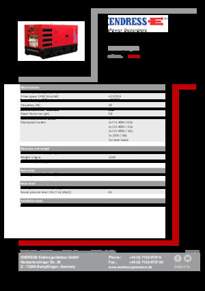 Groupes électrogènes à diesel Endress ESE 45 YW/RS