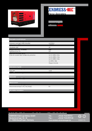 Groupes électrogènes à diesel Endress ESE 45 YW/RS