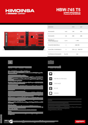 Groupes électrogènes à diesel HIMOINSA HBW-745 T5