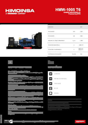 Groupes électrogènes à diesel HIMOINSA HMW-1005 T6