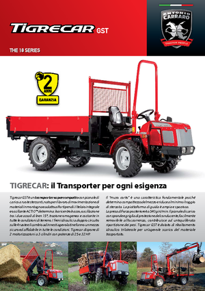 Tracteurs municipaux Carraro Tigrecar 3200 GST