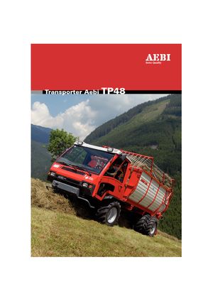 Véhicules communaux multi-usages à diesel diesel Aebi TP 48
